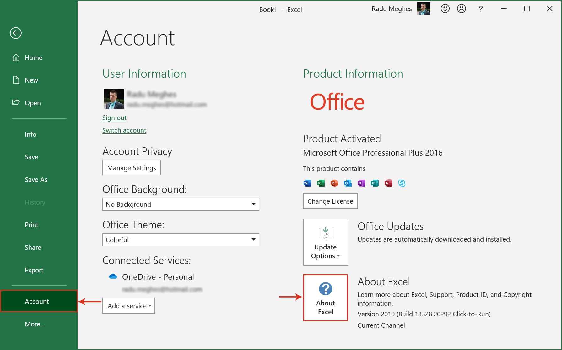 How do I know what version of Excel I have installed?